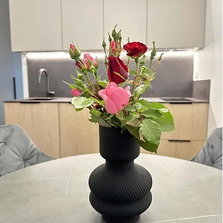 D J Apartamentai Palangoje Apartment